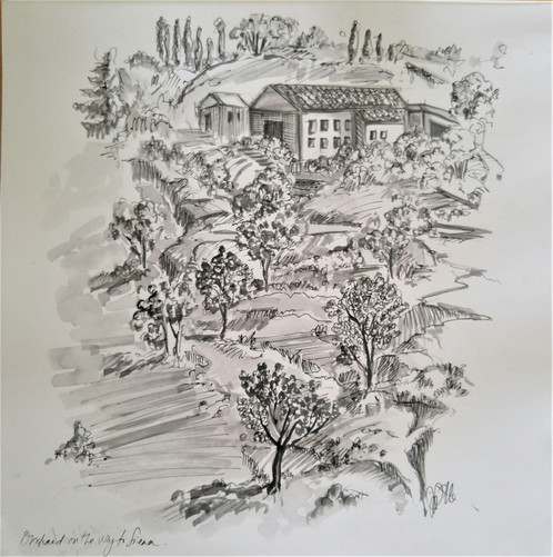 498x501 Large Sketches Of Italy (12 X 12) - Large Sketches