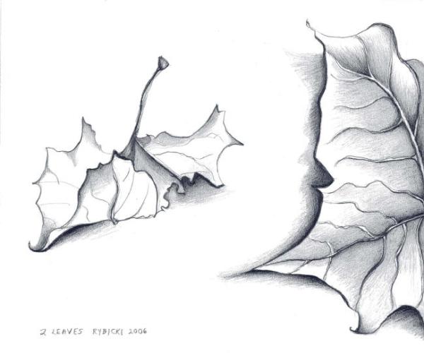 600x500 Sketches 2 Leaves 2006 Large - Large Sketches