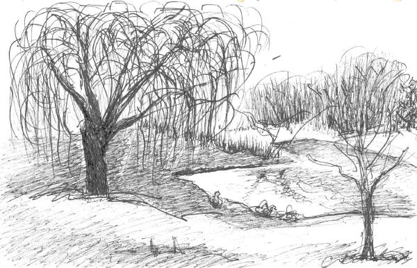 600x386 Sketches White Marsh Pond Large - Large Sketches