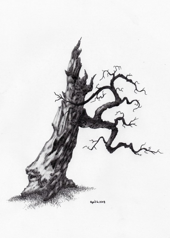 Large Tree Sketch at PaintingValley.com | Explore collection of Large ...