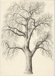191x263 836 Best Solo Un Arbol Images In 2018 Easy - Large Tree Sketch