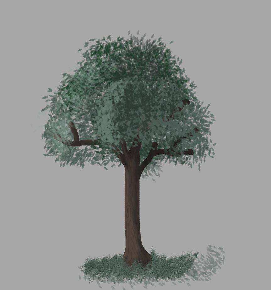 863x925 Sophie Heath - Large Tree Sketch