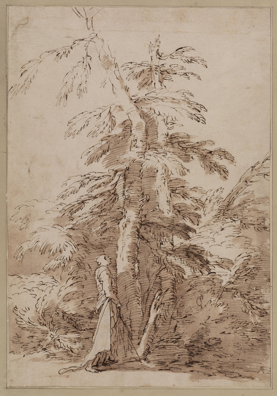 895x1280 Spencer Alley Salvator Rosa Drawings - Large Tree Sketch