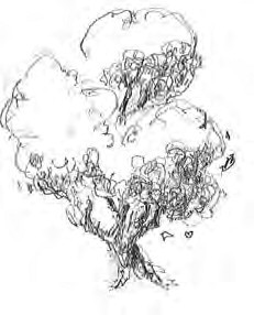 231x286 Summer Trees And Foliage In Watercolour - Large Tree Sketch