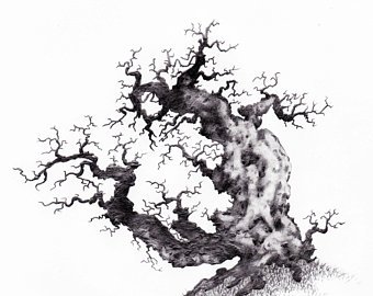 340x270 Tree Pencil Drawing Etsy - Large Tree Sketch