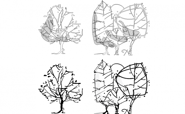 650x400 Tree Sketch Plan Detail Dwg. - Large Tree Sketch