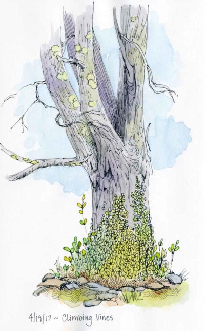 400x644 Trees On My Mind Carolyn A Pappas - Large Tree Sketch