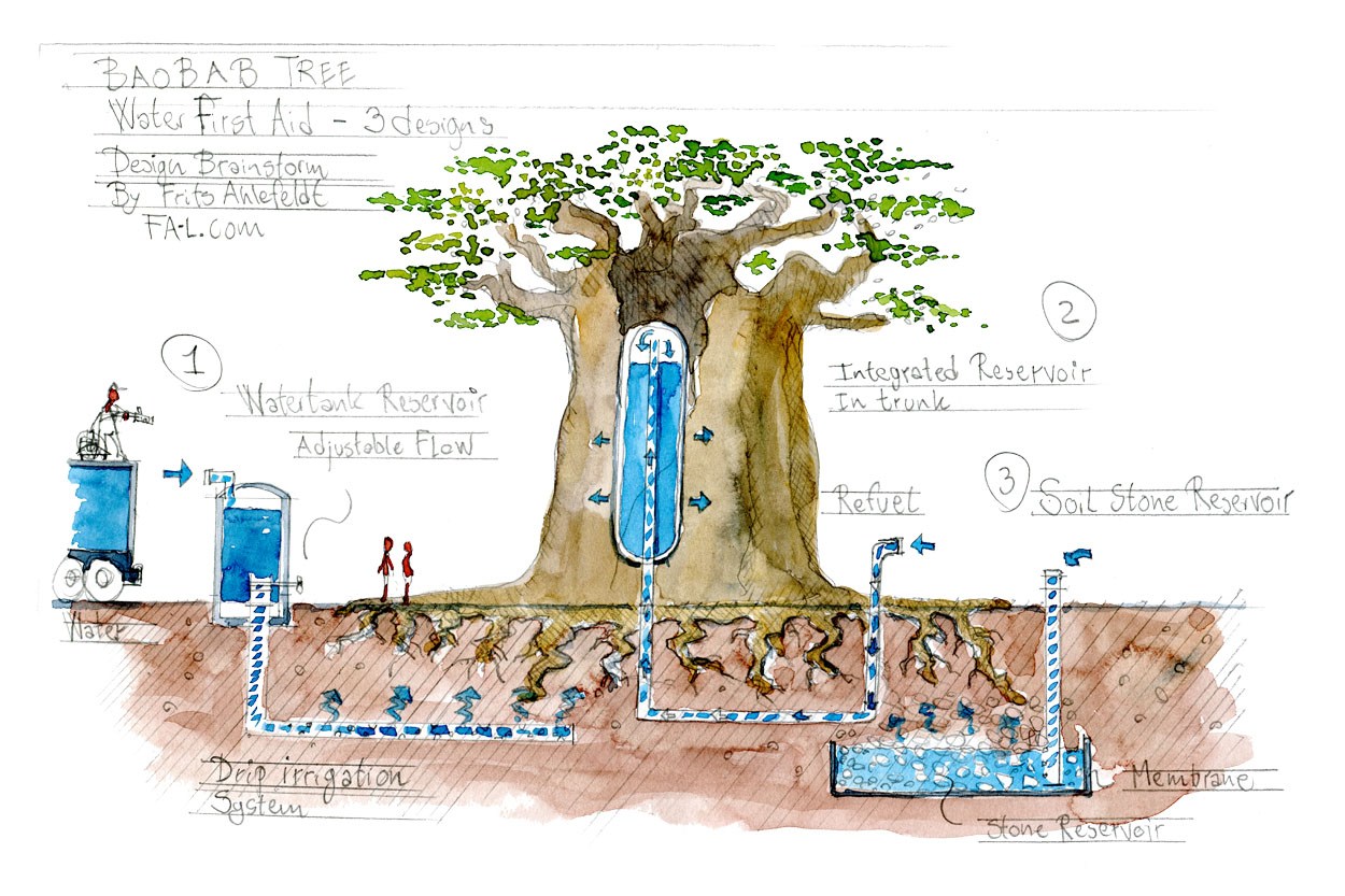 1250x833 Water System For Large Trees Design Sketches Frits Ahlefeldt - Large Tree Sketch