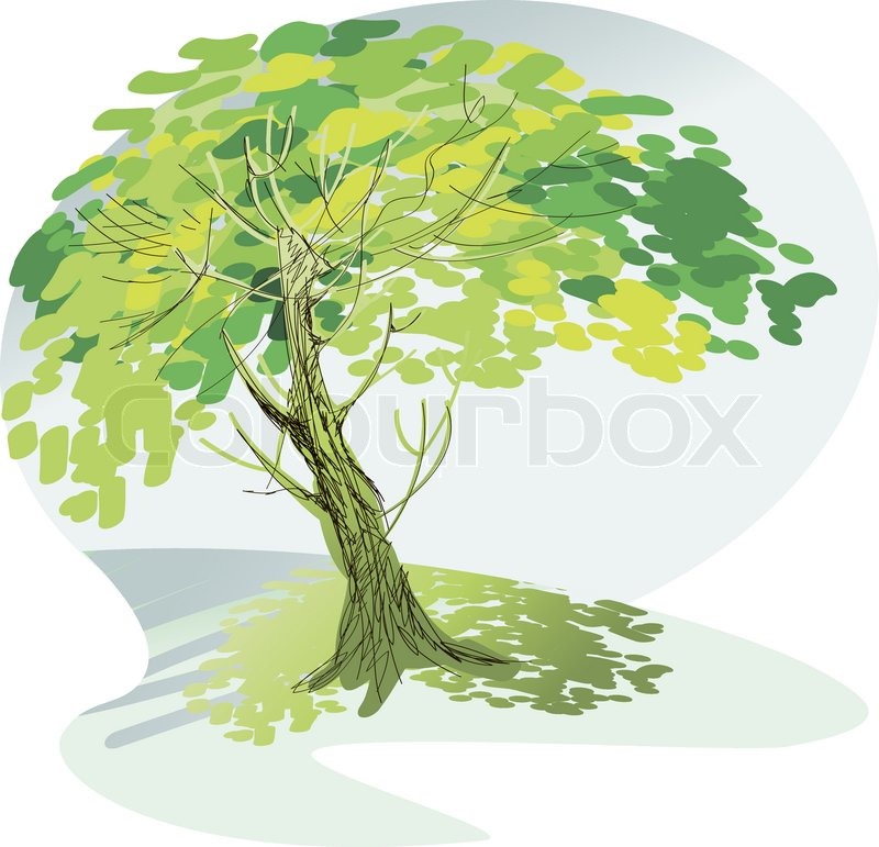 800x771 A Sketch Of A Large Green Tree On A Hill Stock Vector Colourbox - Large Tree Sketch