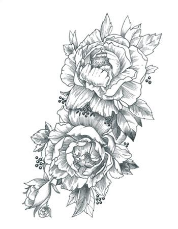 350x450 Flower Ornament Tattooednow! Ltd. - Large White Flower Sketch