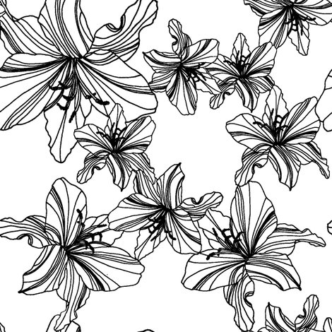 470x470 Flower Sketch - Large White Flower Sketch
