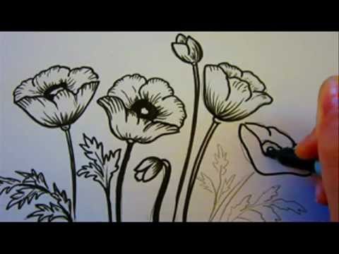 480x360 Flower Tutorial - Large White Flower Sketch