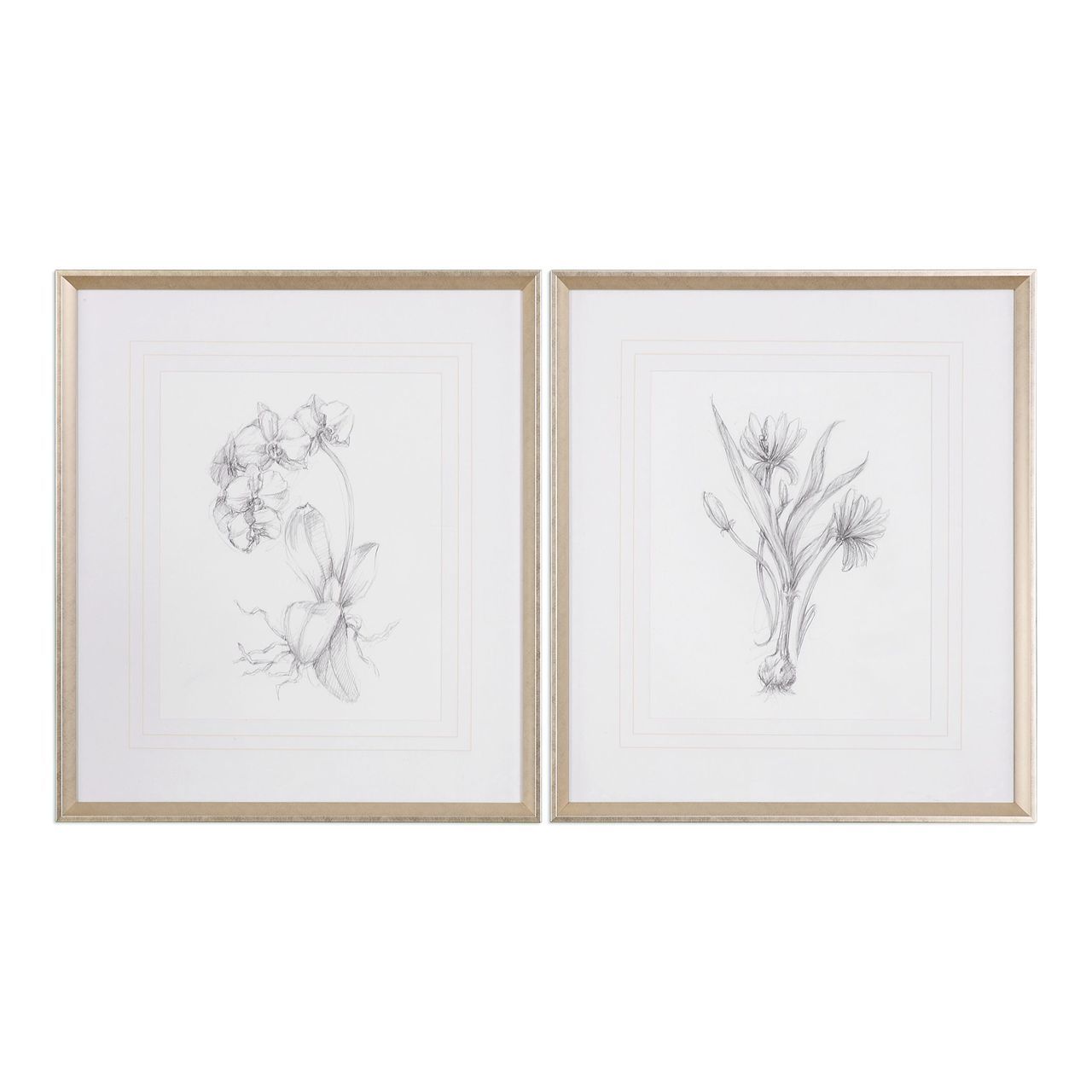 1280x1280 Set Of 2 Large Flower Sketches Drawings Wall Art White Silver - Large White Flower Sketch