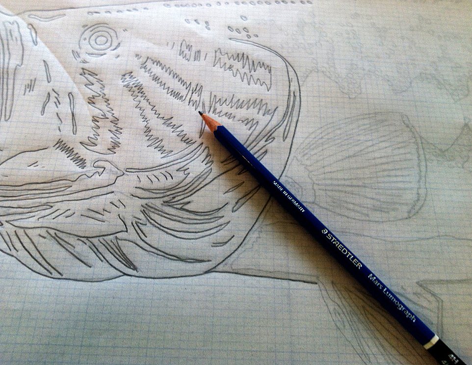 962x744 The Fiberglass Manifesto Wandering Blue Lines - Largemouth Bass Sketch