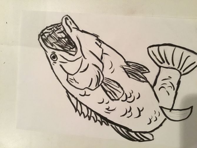 670x503 How To Draw A Bass 5 Steps (With Pictures) - Largemouth Bass Sketch