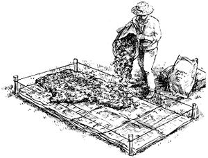 300x228 Lasagna Gardening - Lasagna Sketch