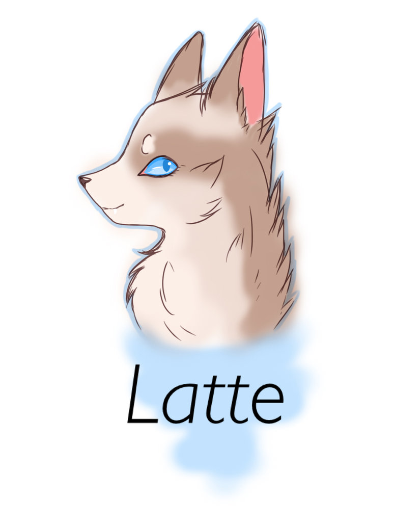 774x1032 Latte Sketch By Lightar - Latte Sketch