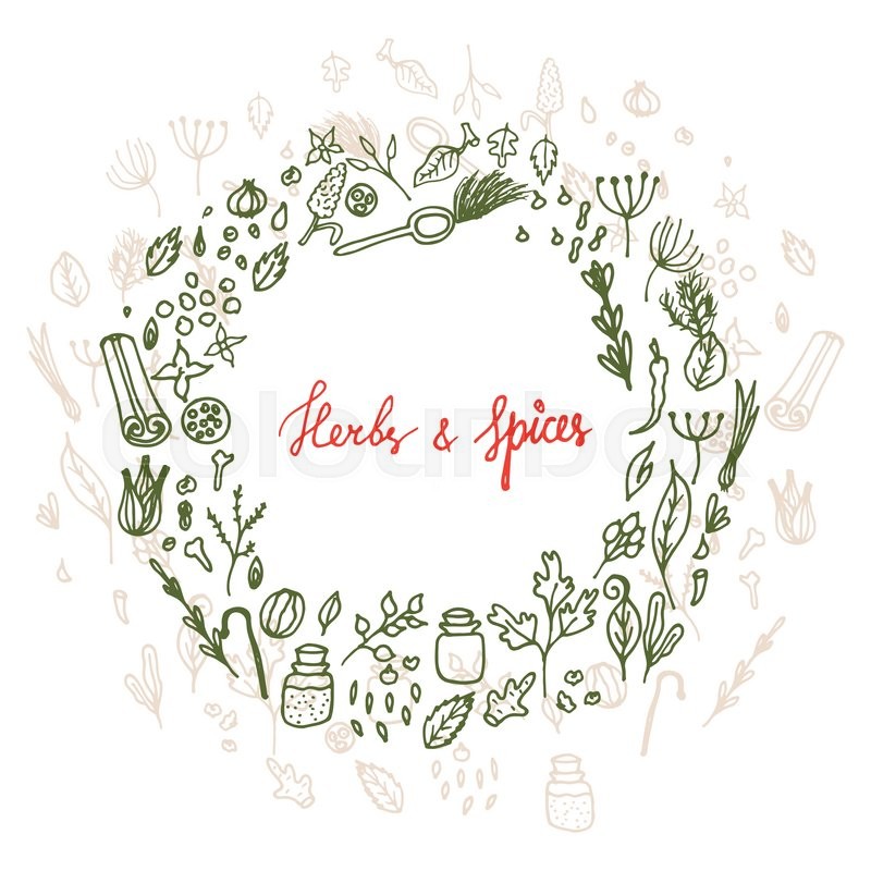 800x800 Herbs And Spices Doodle Hand Drawn Laurel Wreath. Pen Sketch Food - Laurel Wreath Sketch