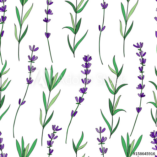 500x500 Seamless Vector Floral Pattern, Hand Drawn Graphic Lavender Flower - Lavender Flower Sketch