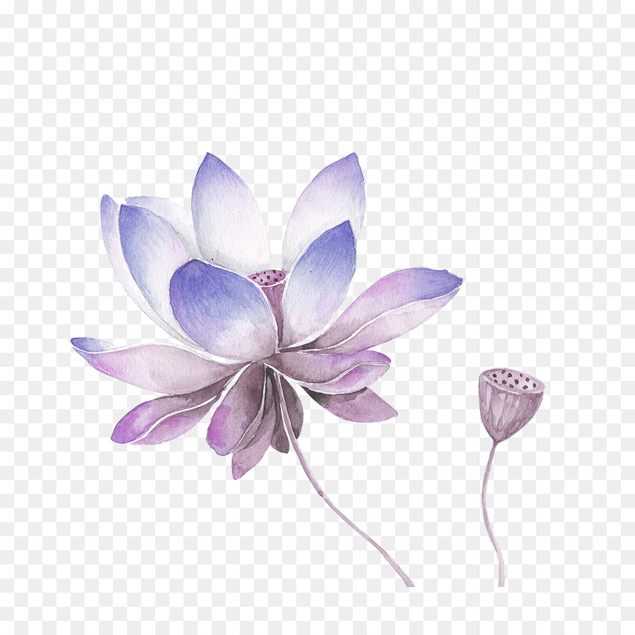 900x900 Drawing Painting Art Black And White Sketch - Lavender Flower Sketch