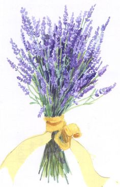 236x367 Lavender Plant Tattoo Images Amp Pictures - Lavender Plant Sketch