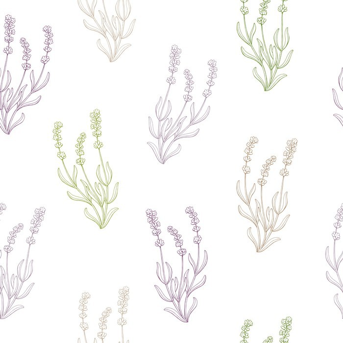 700x700 Lavender Flower Sketch Graphic Art Seamless Pattern Illustration - Lavender Plant Sketch