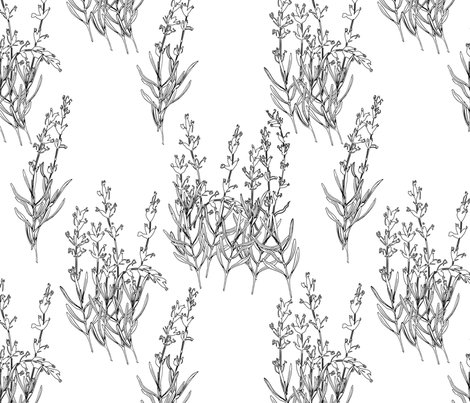 470x403 Hand Drawn Flowers Of Lavender Wallpaper - Lavender Sketch
