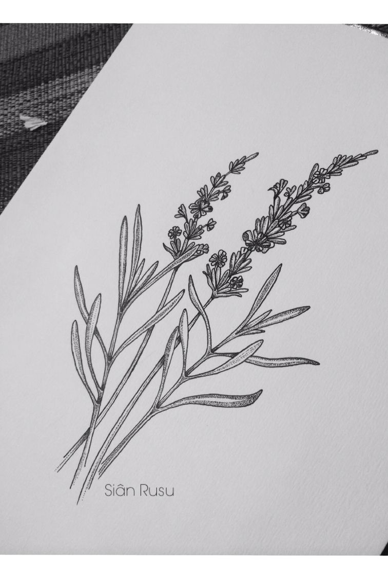 756x1136 Pics Of My Favorite Geometric Tattoos Tattoos - Lavender Sketch