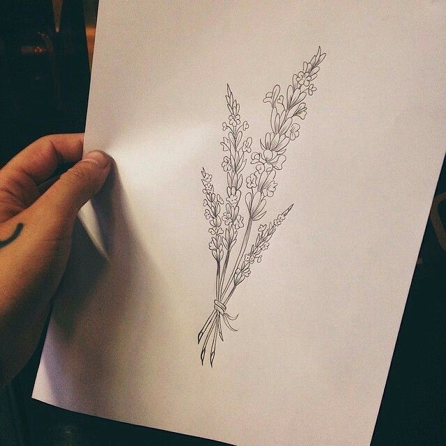 640x640 Simple Lavender Sketch Tattoo Ideas Tattoos - Lavender Sketch