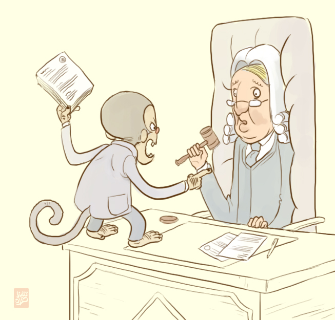 653x625 Monkey Lawyer Sketch By Sheharzad Arshad - Lawyer Sketch