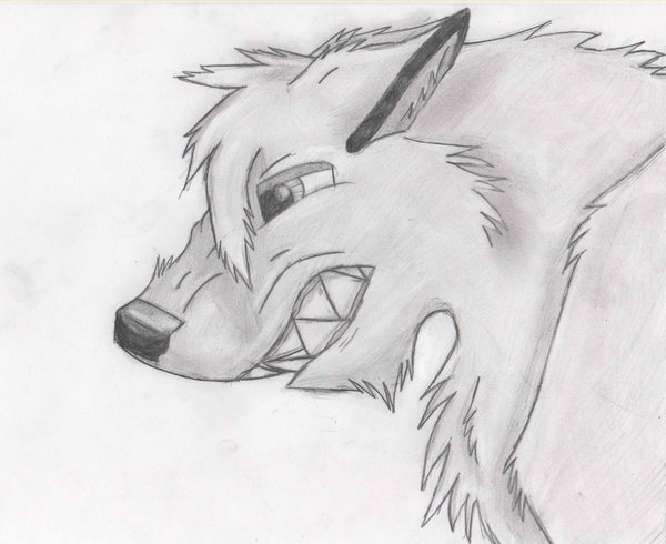 600x490 Growling Wolf Lead Drawing By Drawingmaster1 - Lead Sketch