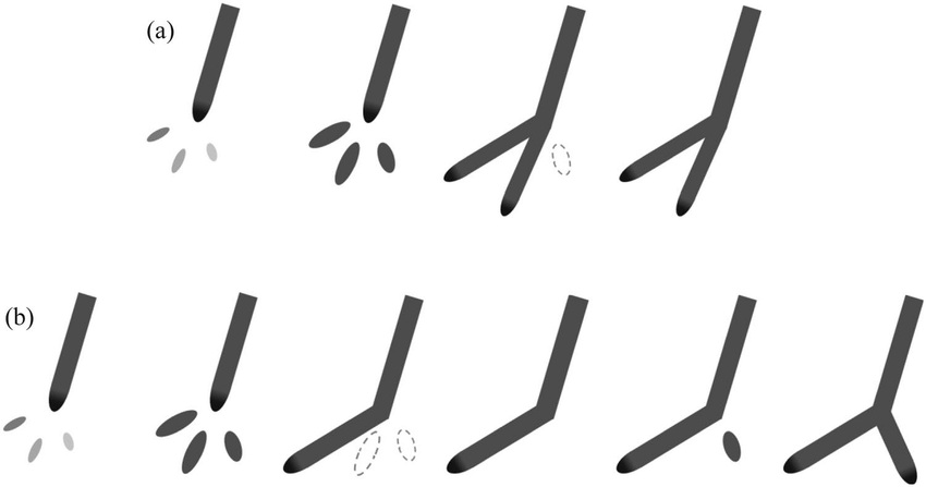 850x447 Sketch Diagram Of Two Kinds Of Leader Branching Mechanism, (A - Leader Sketch