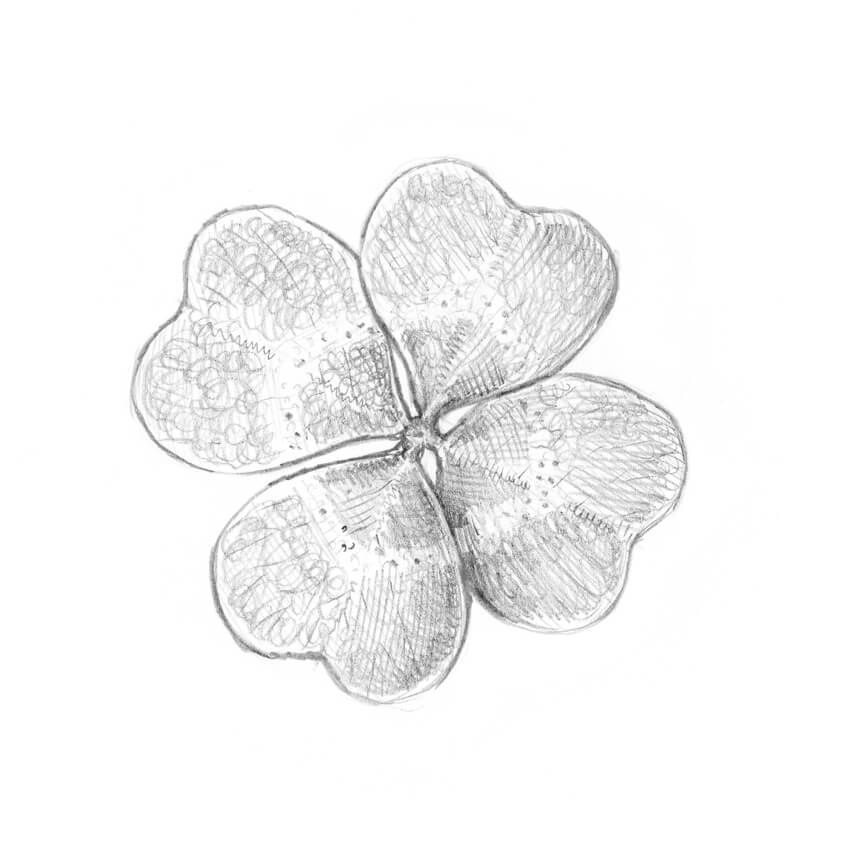 850x859 How To Draw A Leaf Step By Step - Leaf Pencil Sketch