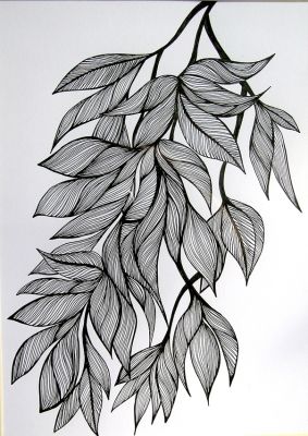 283x400 Ink Drawing Leaves - Leaf Sketch