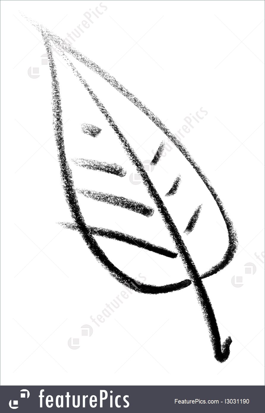 892x1392 Plants Leaf Sketch - Leaf Sketch Pictures