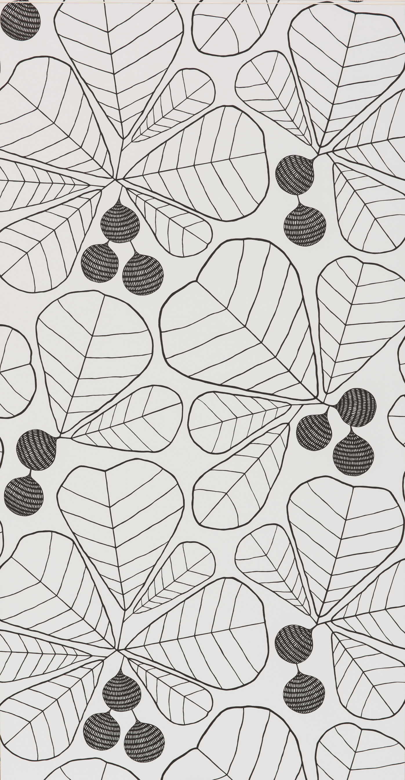 1397x2689 Great Leaf Sketch Missprint - Leaf Sketch Pictures