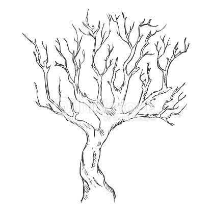 416x416 Photos Bare Tree Sketch, - Leafless Tree Sketch