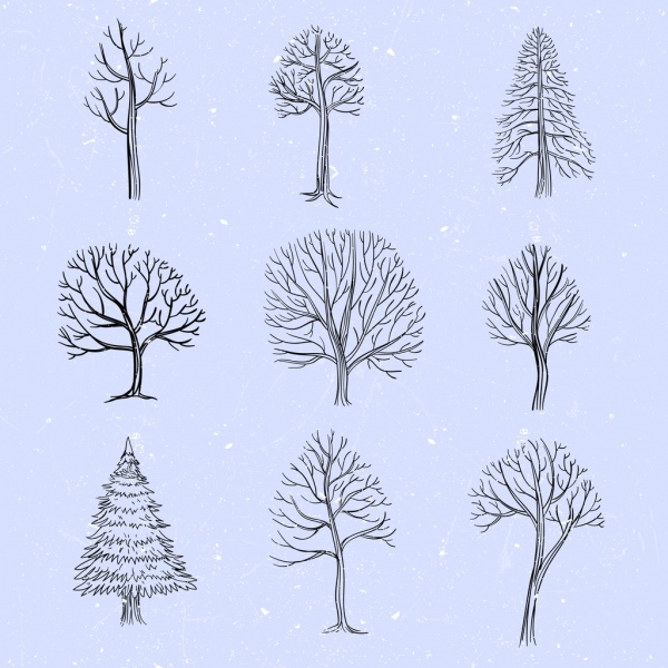 600x600 Tree Icons Collection Leafless Decor Handdrawn Sketch Free Vector - Leafless Tree Sketch