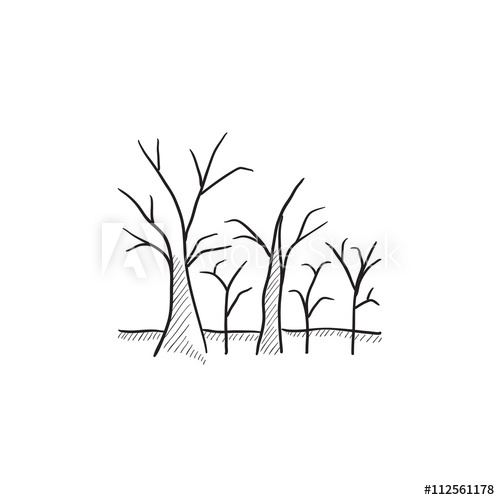 500x500 Tree With Bare Branches Sketch Icon. - Leafless Tree Sketch