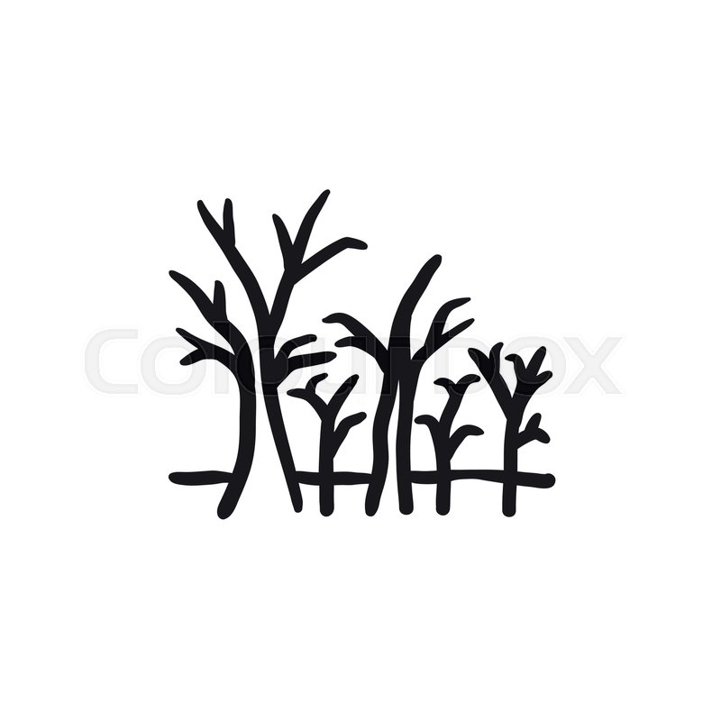 800x800 Tree With Bare Branches Vector Sketch Icon Isolated On Background - Leafless Tree Sketch