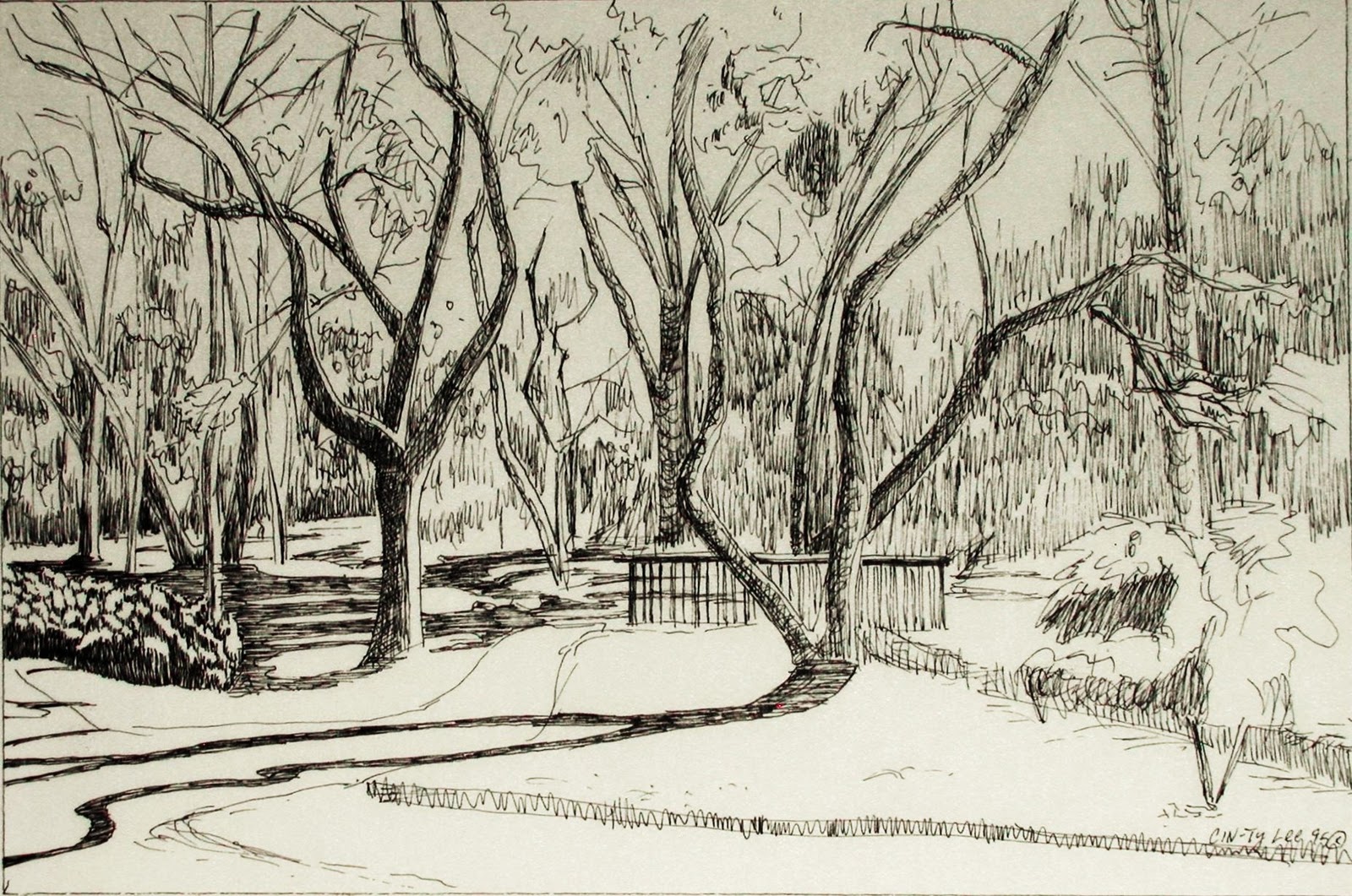 1600x1061 Leafless Trees In Winter Down To Earth Questions - Leafless Tree Sketch