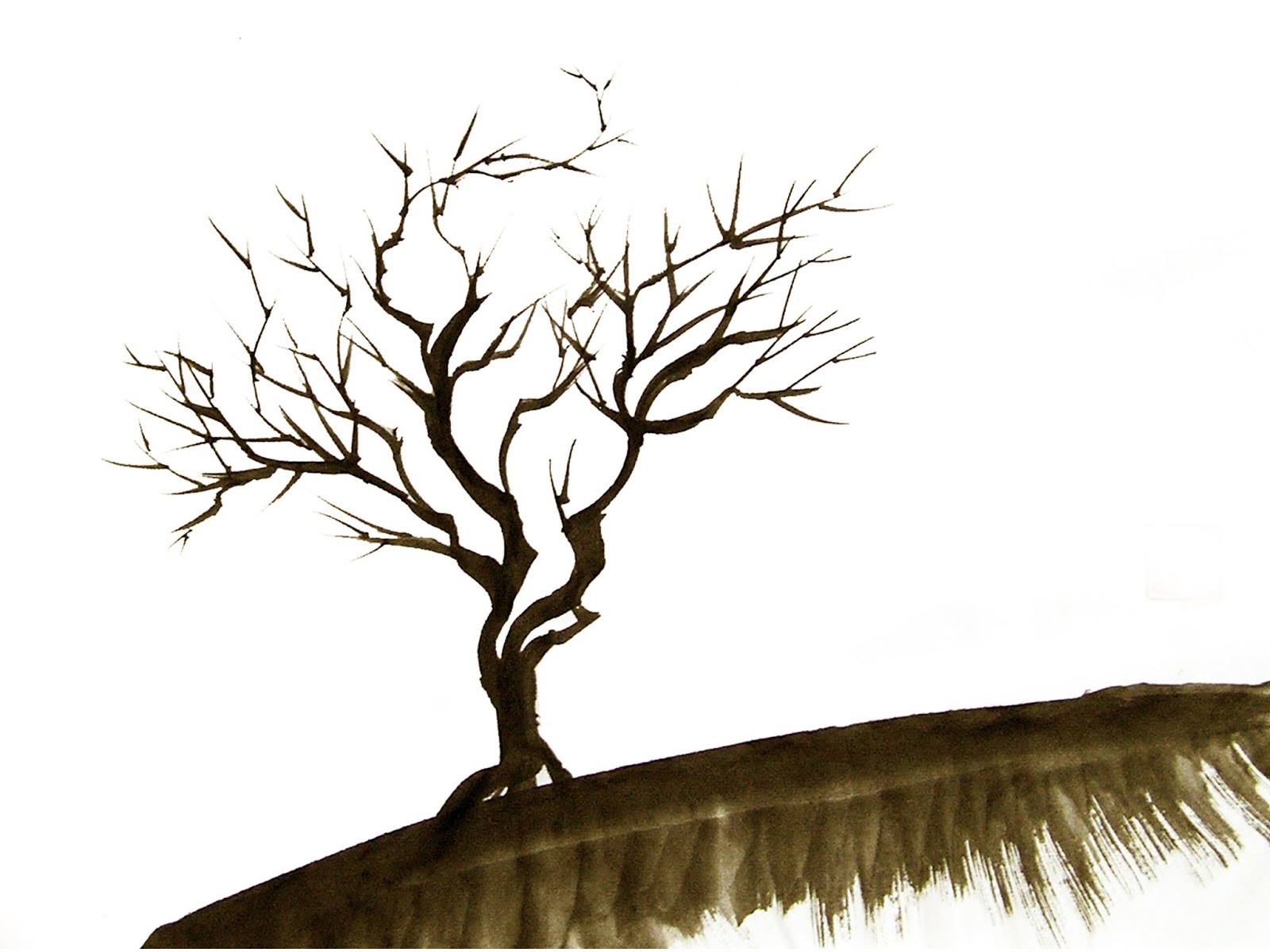 1600x1200 Color Sketch Of Tree Museum Of Art Amp Graphics - Leafless Tree Sketch