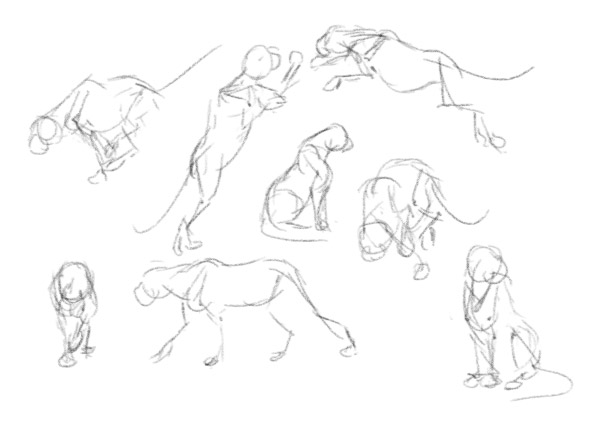 600x424 How To Learn To Draw Stage Three, Visual Database - Learn To Draw Sketch