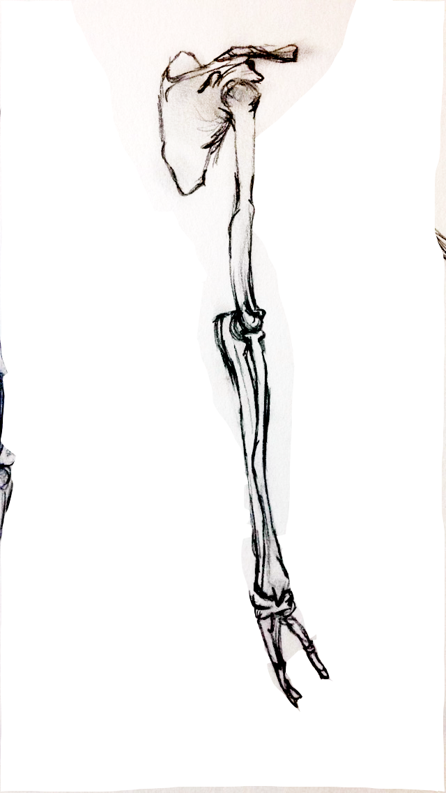 640x1136 Studio 6. Fashion Design (Honours) Rmit University. Led Pencil - Led Sketch