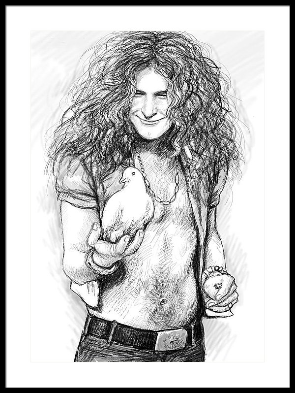 600x798 Led Zeppelin Art Drawing Sketch Portrait Framed Print By Kim Wang - Led Zeppelin Sketch