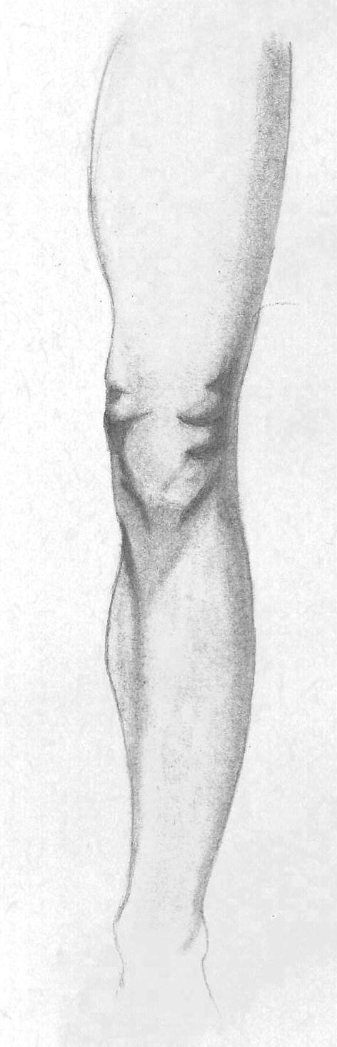 472x1467 Leg Sketch By Etaniavii - Leg Sketch