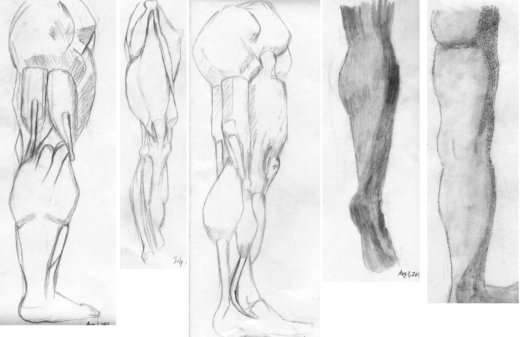 1024x665 Leg Sketches By Etaniavii - Leg Sketch