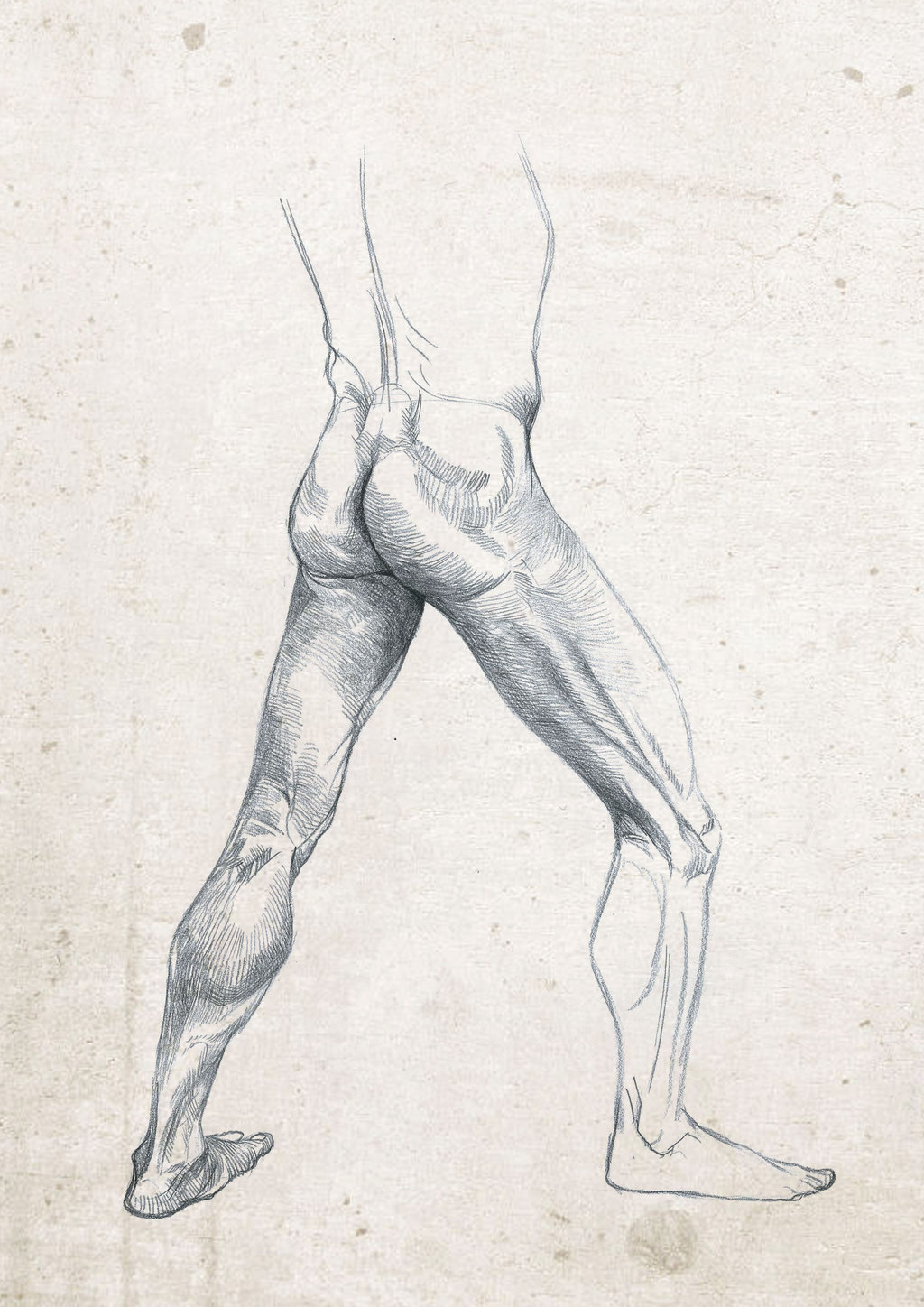 1024x1448 Anatomy Live Drawing Sketch Leg Study By Safdaralimirza - Leg Sketch