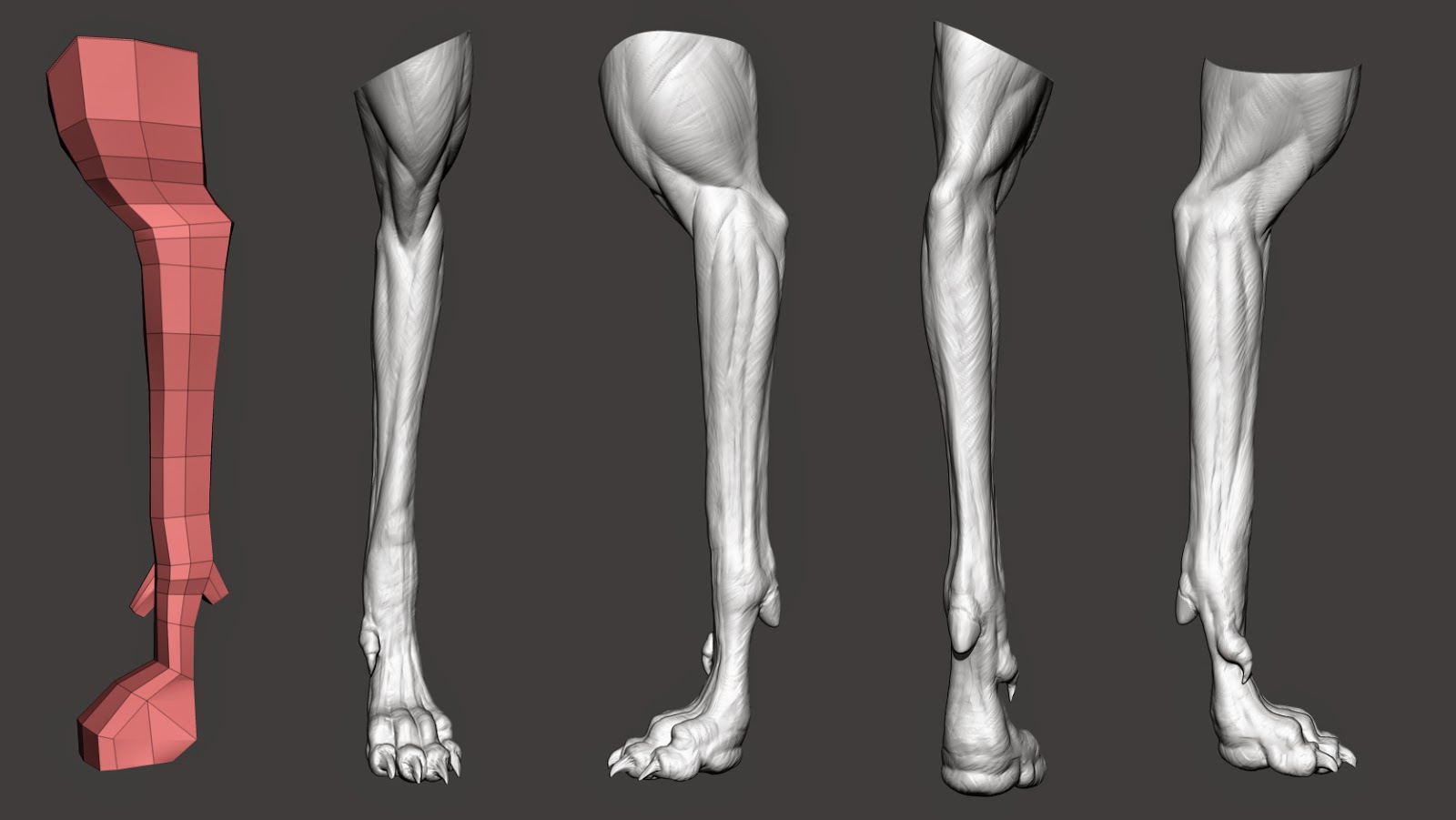 1600x901 Dog Anatomy Sketch David Frylund Otzen - Leg Sketch