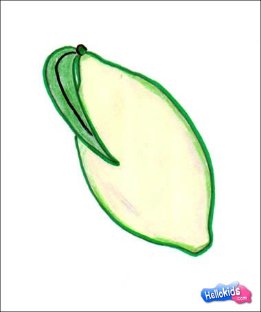 380x454 How To Draw Lemon - Lemon Tree Sketch